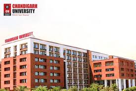 Chandigarh University Online